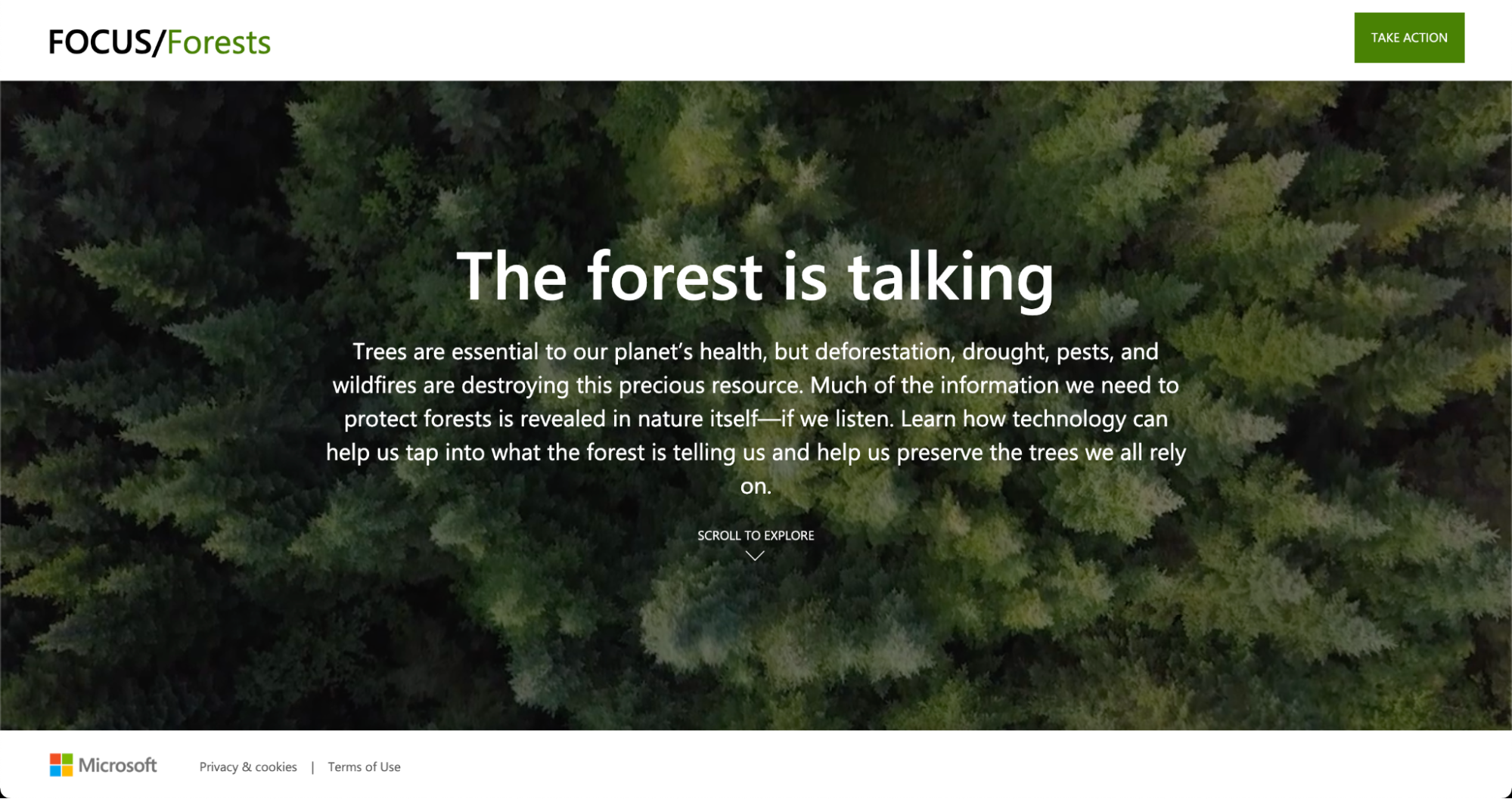 Microsoft: Focus/Forests